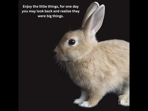 107  - The Little Things