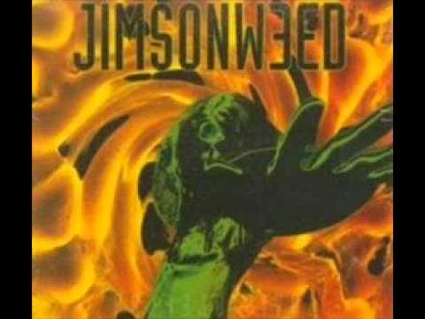 Jimsonweed - Built To Blow