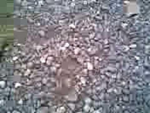 d'rockz!!!! la lang!!