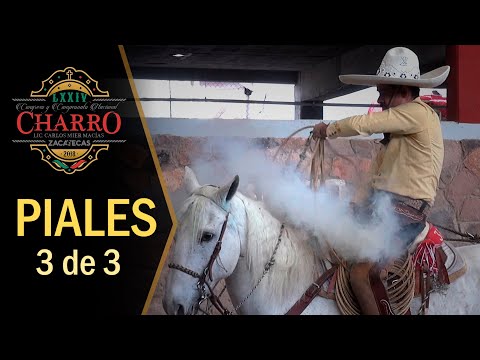 Excelente PIALES 3 de 3 - Congreso Zacatecas 2018