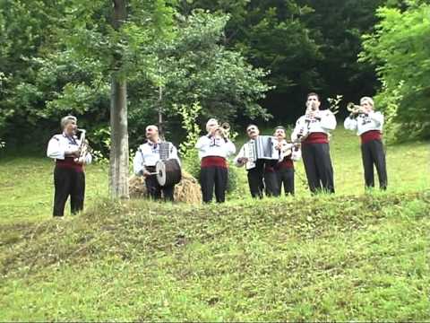 FRATII PAUN - BATUTA DE LA PANU (SPIROS GALATI)
