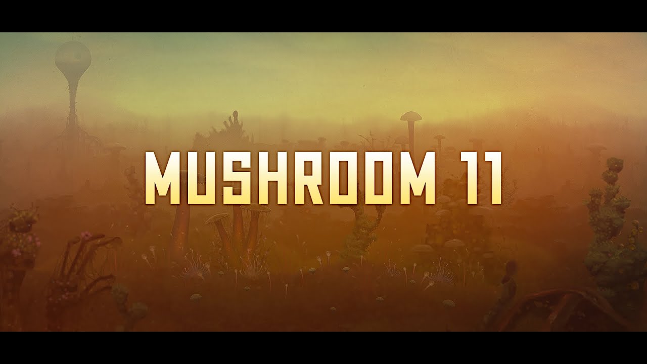 Mushroom 11video poster