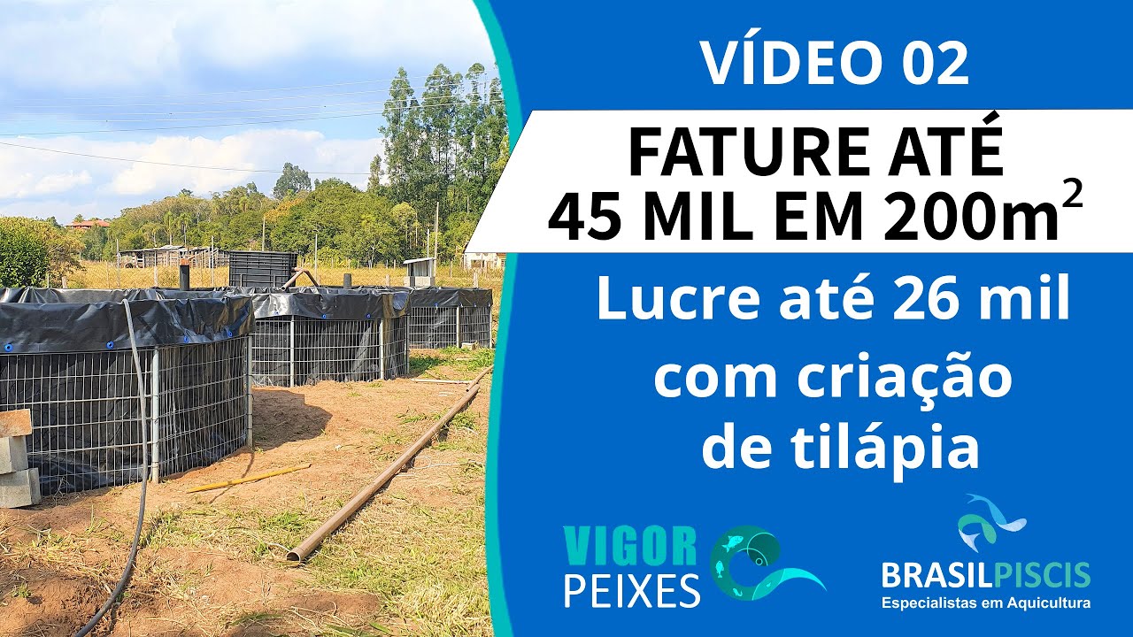 Faturando 45mil em 200m²!  Lucratividade criação de tilápia Tanques Elevados na prática!  - Vídeo 2