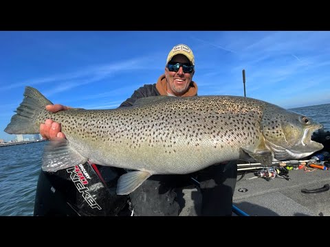 Casting for BIG BROWN TROUT in the Milwaukee Harbor! - What to Use