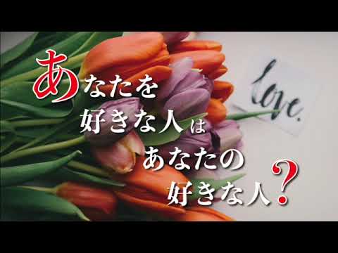 あなたを好きな人はあなたの好きな人？鑑定します お二人が出会った意味。そしてお相手の気持ちを読み解きます。
