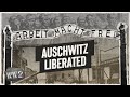 The Last Days of Auschwitz - War Against Humanity 126