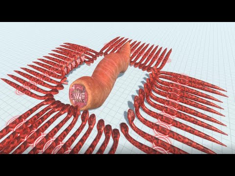 50x TITANOBOA vs EVERY GIANT UNIT Part-3 | ARBS | - Animal Revolt Battle Simulator