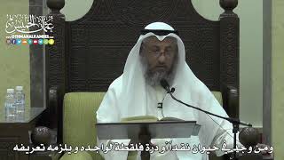 1627 - ومن وجد في حيوان نقداً أو درة فلقطة لواجده و يلزمه تعريفه - عثمان الخميس