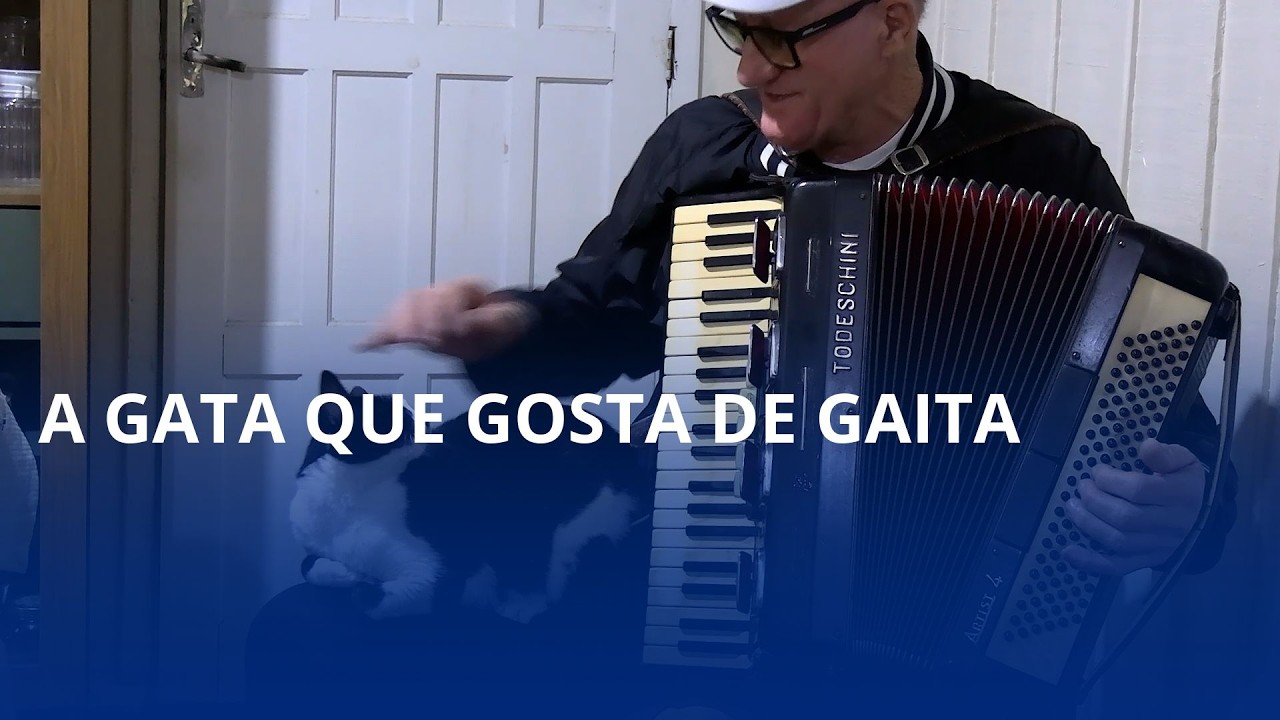 A gata que gosta de gaita. Quando o seu Nilton toca, ela se achega pra ouvir