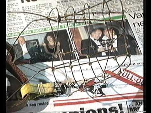 Greyhound scandal - The London Programme