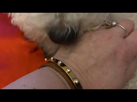 Fun Time In The Rain Hunting For Pandora