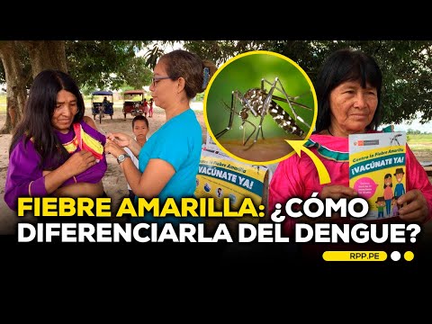Alerta epidemiológica por aumento de casos de fiebre amarilla en Perú #ROTATIVARPP | ENTREVISTA