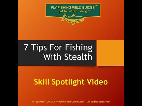 02 02 22 Skill Spot   Fishing With Stealth   FINAL