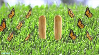 Sesame Street: 11 Butterflies