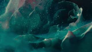 Lost and Left Behind Music Video