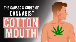 Cannabis Dry Mouth: The Causes &amp; Cures!