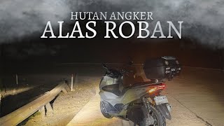 Download lagu JALUR HUTAN ANGKER ALAS ROBAN MALAM HARI NOVEMBER 2024 mp3 Download lagu JALUR HUTAN ANGKER ALAS ROBAN MALAM HARI NOVEMBER 2024 mp3