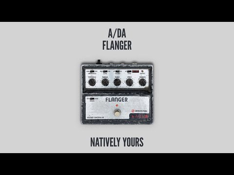 Free Download ADA Bundle 2024.05 WiN-TCD