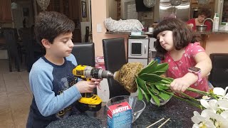 The Young Handyman - Repairing Orchid Plant