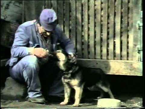 dura_z_medimurja.avi