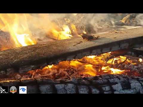 July morning 01.07.2020 Bulgaria Burgas #artoniostudio #LFVisuals #SunTribeFreeOpenAir2020