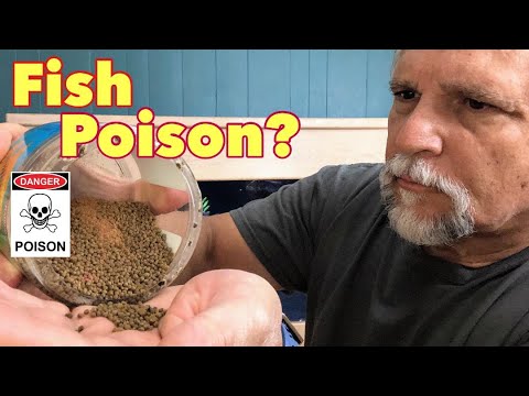 Tropical Fish Food "Master Class" [Interview with the Owner of Piscine Energetics] - Ep. 1 of 5