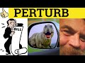 🔵 Perturb Perturbation - Perturb Meaning - Perturbation Examples =- Perturb Definition