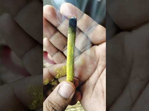 Chandanm (Sandal Wood) Bambooless Dhoop video