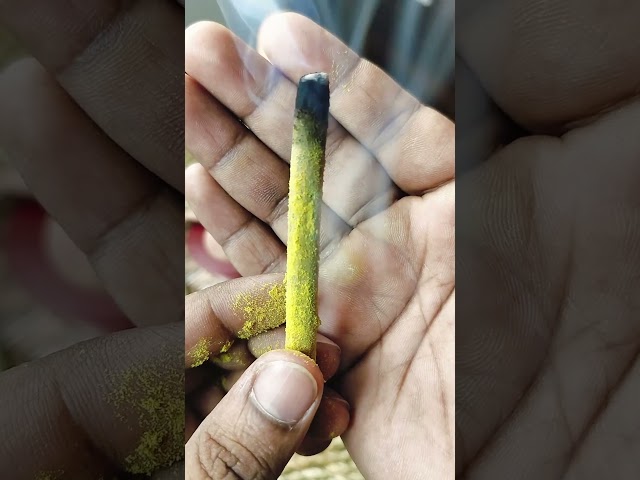 Chandanm (Sandal Wood) Bambooless Dhoop 30 sticks video