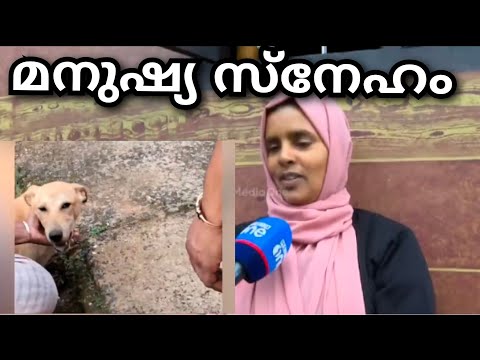 മനുഷ്യ സ്നേഹിയായ നസീറ...മാതൃക @klpkdfamily