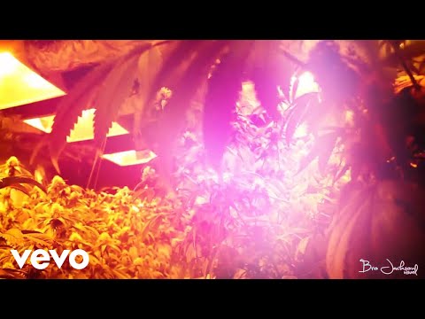 Lil Rue, Liqz - Hydro Tech (Official Music Video) ft. The Jacka