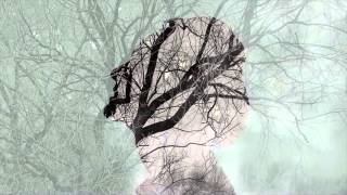 Anchor &amp; Braille - Knew Then Know Now (Lyrics / Sub. Español)