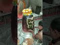 Ujjain Mahakal Bhasma Abhishekam Ujjainmahakal Ujjain Ujjainmahakalstatus