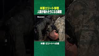みんな、これ見て仕事も学校も頑張ろう。(ディスカバリーチャンネル)#ディスカバリーチャンネル #shorts