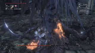ブラボー！！！