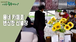 [표고꽃 필 무렵] 귀농 8년 차 농부의 숲속 농장