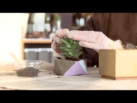 pots-de-fleurs-terrasse-bois-canape-coussin-terrasse-bois