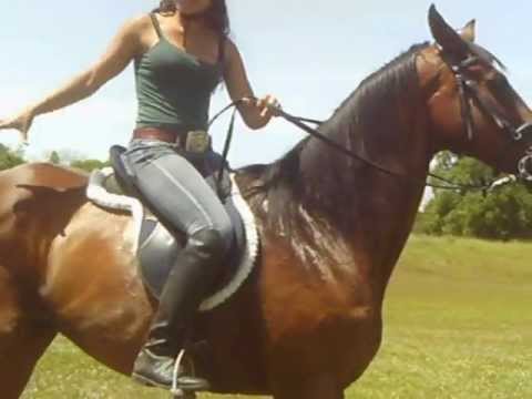 Thoroughbred galloping (Ex race horse)