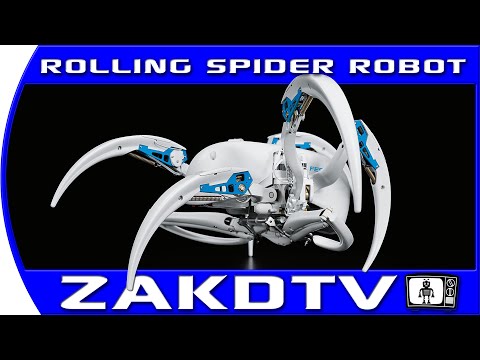 BionicTurtleWalker Review Video 2