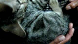 MASTERBOY I WANT TO BREAK FREE dj kethy more dance