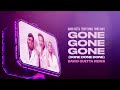 David Guetta, Teddy Swims, Tones And I - Gone Gone Gone (Done Done Done) [David Guetta Remix]