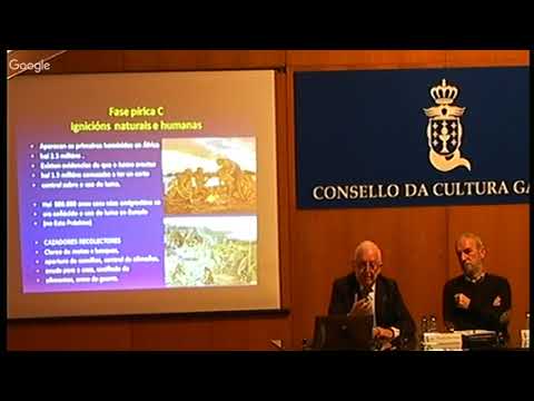 Vídeo: A historia dos incendios forestais en Galicia e Portugal