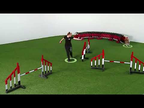 OneMind Dogs agility handling technique - Layering