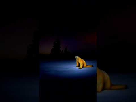 Polar bear 2026 jumpscare 💀