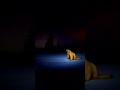 Polar Bear 2026 Jumpscare