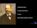 Camille Saint-Saens, Carnival of the Animals, X. Aviary