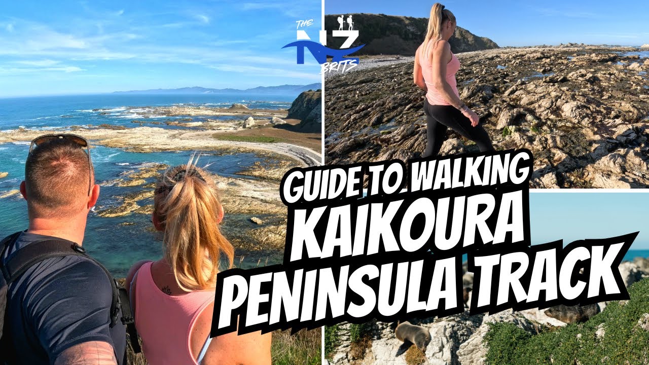 Cover walking route options, viewpoints, seal spotting areas, trail difficulty, and overall experience of the walkway.