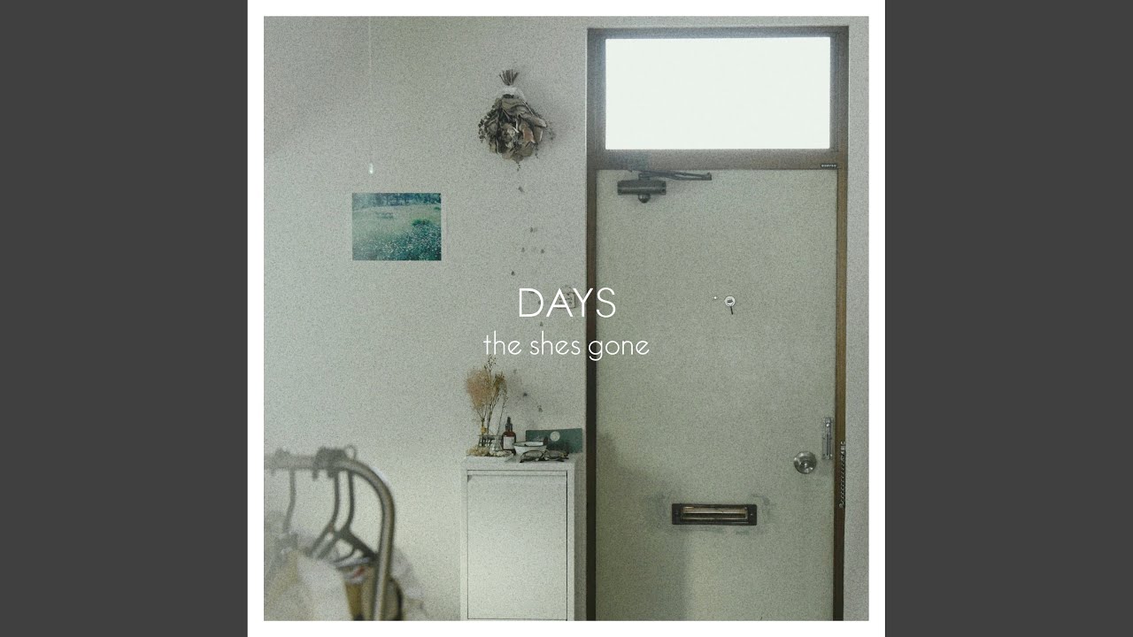 shower / the shes gone