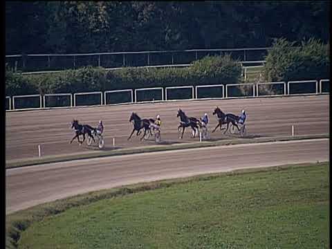 Trotto 22/10/2019 - 1ª prova di qualifica