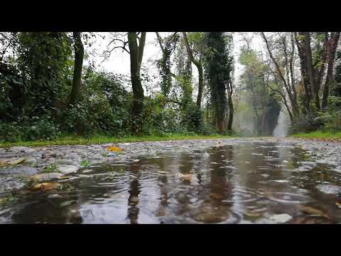 Duerma en menos de 3 minutos con lluvia en el campo